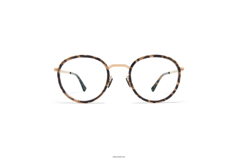 Frame: A38 Champagne Gold/Antigua